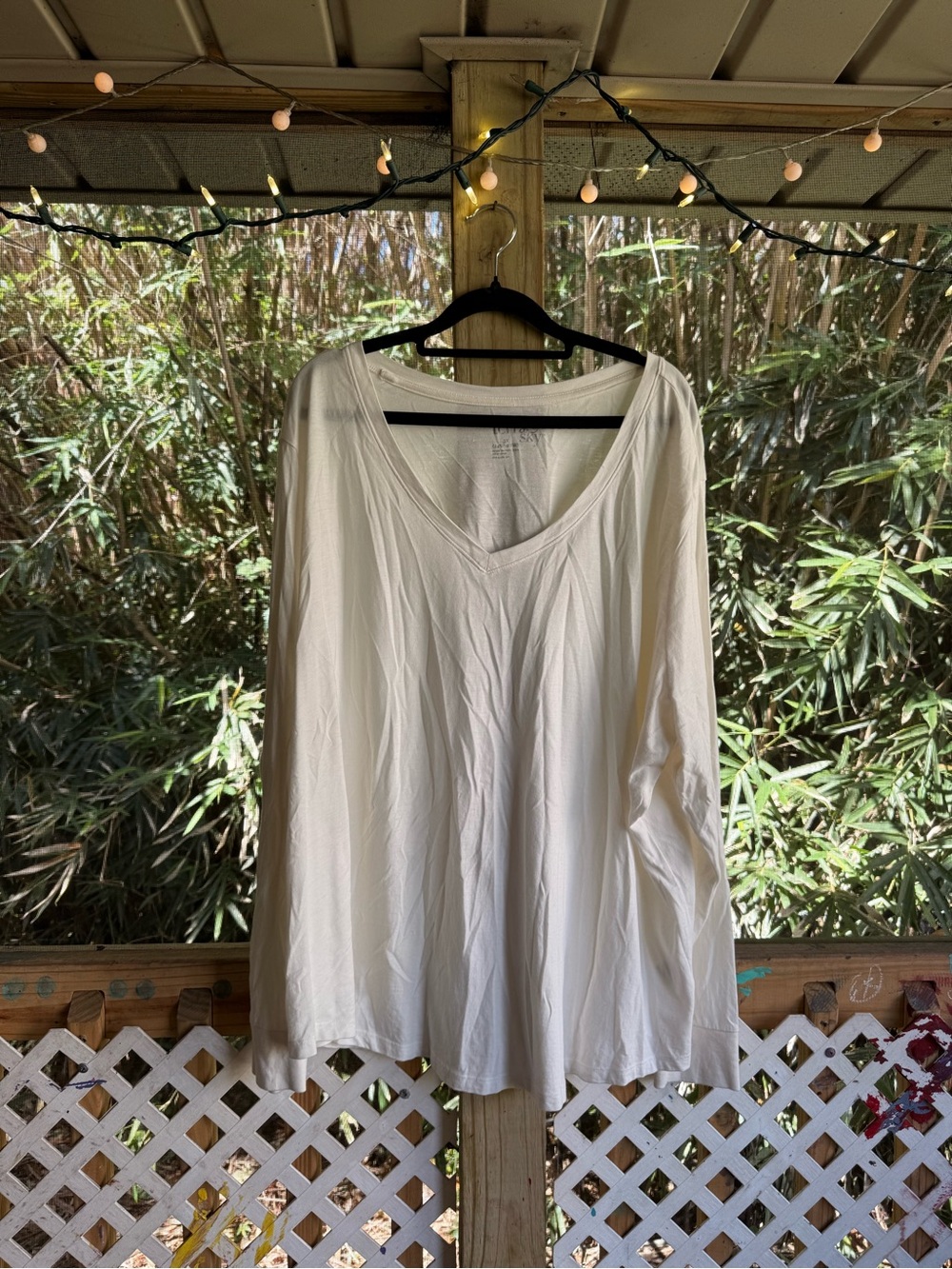 Terra & Sky Cream V-Neck Long Sleeve Top